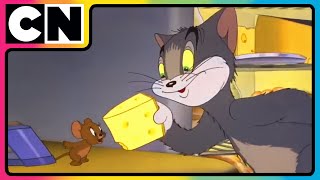 Tom and Jerry😺🐭| Jerry's Eternal Cheesy Affair🧀| Cheese Day Special😍| Cat & The Mouse 😍| @cnindia​