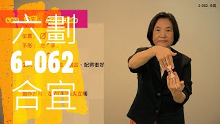 臺灣手語語料彙整【合宜】6 062