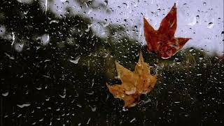 🎃AUTUMN RAIN ON WINDOW AMBIENCE: Peaceful Music, Relaxing Music, Calm Fall Music - Gentle Rain