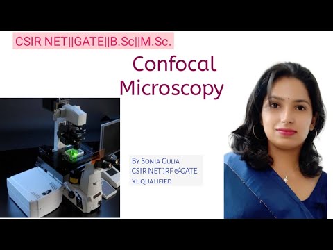 Confocal Microscopy - YouTube