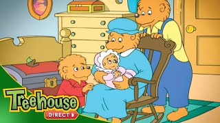 Berenstain Bears | A Special Thanksgiving Episode