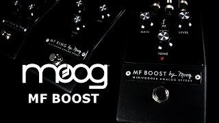 Moog Minifooger Boost