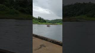 bhatsa river vasind-asangaon #maharashtra #travel #nature #riverfront #sunset #bhatsariver #valshet🌿