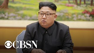 Former CIA officer reacts to reports about Kim Jong Un's health
