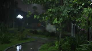 비 내리는 밤 길가에 쏟아지는 폭우와 함께 불면증 해소, 즉시 수면 비오는 소리 ASMR 1