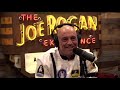 joe rogan talks to a.i.