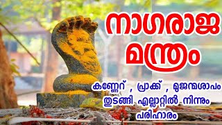 നാഗരാജ മന്ത്രം #കണ്ണേറ് , നാവേറ്, മുജന്മശാപം, സ്ത്രീ ശാപം, നാഗദോഷം, ഈ മന്ത്രം 36 തവണഉരുവിട്ടാൽ മാറും