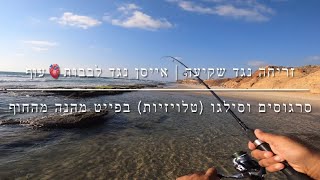 דייג - סרגוסים וסילגו (טלויזיות) בפייט מהנה מהחוף | זריחה נגד שקיעה ~ אייסן נגד לבבות עוף 2021.