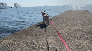 レジーナリゾートびわ湖長浜