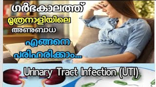 What is the treatment of UTI in pregnancy?..ഗർഭാവസ്ഥയിൽ മൂത്രനാളിയിലെ അണുബാധയും പരിഹാരവും...