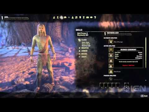 Elder Scrolls Online: Create the Best Character for Your Class Elder Scrolls Online: Create the Best Character for Your Class