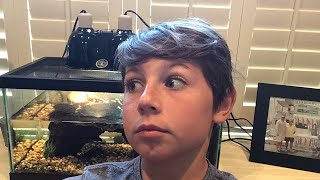 Basic Turtle Care (Turtle 101) Guide