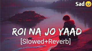 Roi Na Jo Yaad Meri Aayi [Slowed+Reverb] Sad lofi | New Sad Songs | Sad Song | Hindi Sad Song