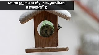 ഞങ്ങളുടെ സ്വർഗ്ഗരാജ്യത്തിലെ മഞ്ഞുവീഴ്ച | Snow video in Malayalam