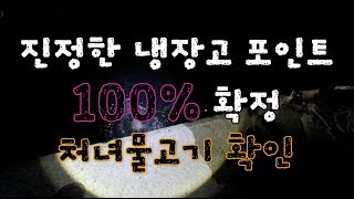 [처녀물고기] 제 11화 3편-2부 미친 원투낚시 포인트 100퍼센트 리얼 냉장고 포인트 확정 | 원투낚시 기초 처녀물고기와 함께