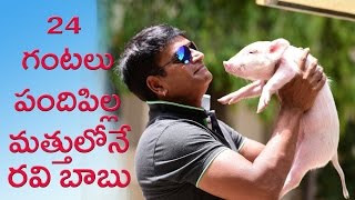 Ravi Babu spending with pig || TFC