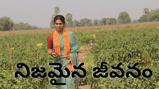 నిజమైన జీవనం//FARMER//YOUNG//AGRICULTURE//NATURE//KONDAVEETI JYOTHIRMAYE AMMA//GOVINDA