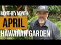 What To Do In The Tropical Garden In April