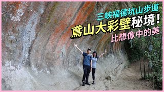 【三峽秘境】 都市裡的深山步道！鳶山大彩壁網美景點，福德坑山三角點小百岳，美麗桐花綻放！（CC字幕）