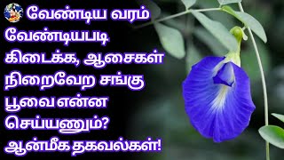 வேண்டிய வரம் வேண்டியபடி கிடைக்க வீட்டு பூஜை அறையில் இந்த பூவை வையுங்கள்#flowers#tamil#today#trending