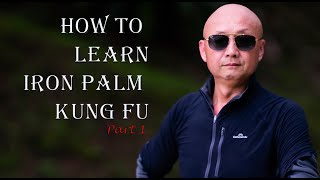 Iron Palm Shaolin Kung Fu: how to learn Iron Palm Kung Fu