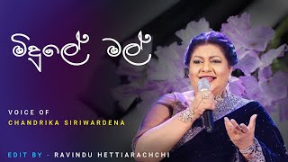 Midule Mal || song by Chandrika Siriwardhana