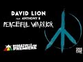 David Lion feat. Anthony B - Peaceful Warrior [Official Audio 2017] #WorldPremiere