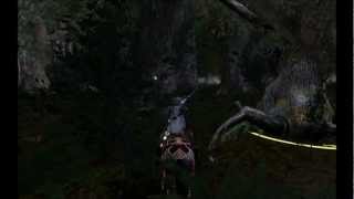 LotrO   Exploring Fangorn