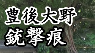 38「朝地駅の大樹/大分県豊後大野市朝地町」戦跡の声を聴く