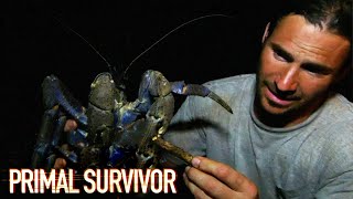How To Lure In A Giant Coconut Crab | Primal Survivor