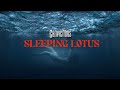 Convictions -  Sleeping Lotus (Official Music Video)