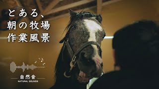 【休憩用】 朝の牧場作業の様子 自然音 ｜State of ranch work in the morning BGM Natural Sounds