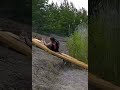 rafting fail😂 funny funnyfail funnyshorts