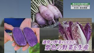 【WatchReport】安心安全な野菜作りを目指す 宮代町 「蛭田農園」（埼玉ビジネスウオッチ2021年11月13日放送分）