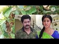 ponni serial tomorrow promo 05th to 06th review ஜெயாவுக்கு தரமான அடி கொடுத்த பொன்னி