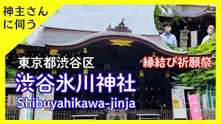 【 東京 渋谷 】渋谷氷川神社さま - 恋愛成就、1900年の歴史 - 田村宮司にお伺いしました