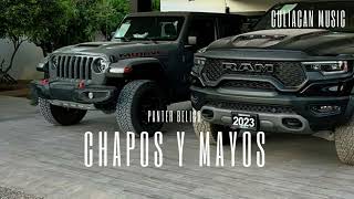 CHAPOS Y MAYOS - PANTER BELICO