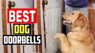 Top 5 Best Dog Doorbells in 2022
