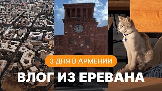 ВЛОГ ИЗ АРМЕНИИ | ЧТО ПОСМОТРЕЛИ В ЕРЕВАНЕ? ПРОГУЛКА ПО ГОРОДУ, ПАРФЮМЕРИЯ, МАГАЗИНЫ | ВПЕЧАТЛЕНИЯ