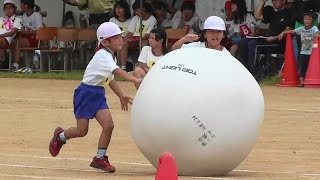 豊見城市立座安小学校運動会　2年生　大玉ころがし～　H26.6.16