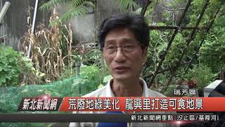 1070726新北新聞網03 瑞芳區荒廢地綠美化 龍興里打造可食地景