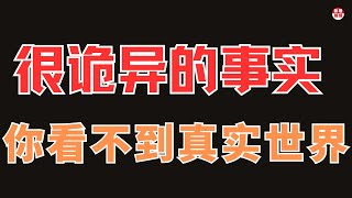 极少人能看懂的一期！地表最强高阶显化法则，你具备神的选择权！|2024|哲理領悟