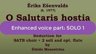 Eriks Esenvalds - O Salutaris Hostia SOLO 1 enhanced