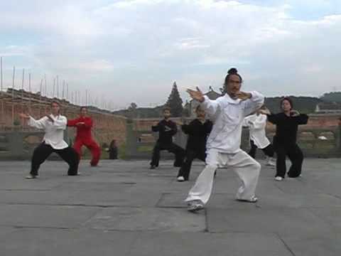 Wudang Tai Ji Quan 28 - YouTube