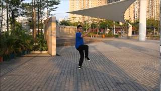 Wu Style Tai Chi Chuan - 54 Movement Round Form