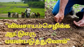 விவசாயம்செழிக்க ஆட்டுஎரு பயன்படுத்துவோம் | best organic fertilizer |  fertilizer | kutty vaandu