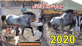 2 March 2020 /All Pakistan Horse Dance/ Shahmand Watto Okara -570