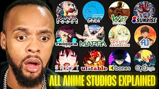 600 HOURS A MONTH?! | Every Anime Studio Explained in 17 Minutes *REACTION*