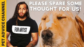 6 secrets your dog groomer wishes you knew