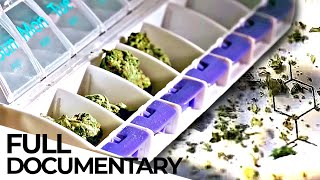 Cannabis: Stigmatized Wonder Drug | ENDEVR Documentary
